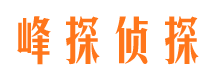 城区市私家侦探